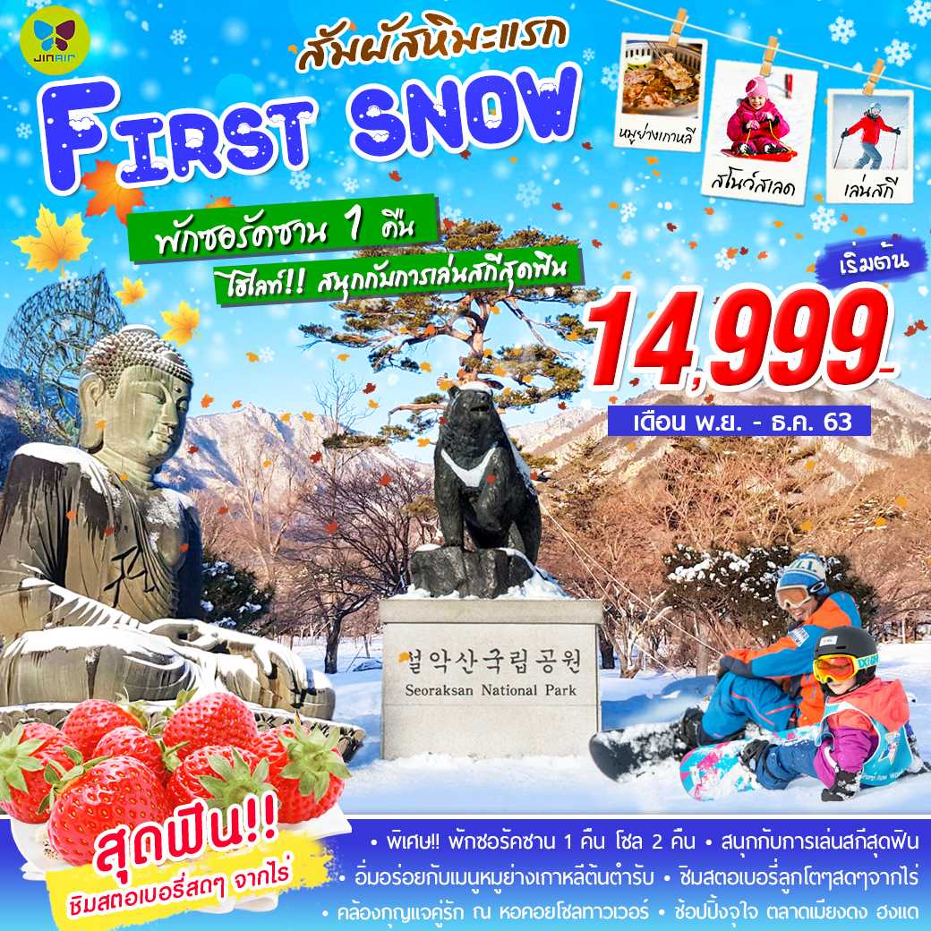 FIRST SNOW IN KOREA สัมผัสหิมะแรก 5D 3N