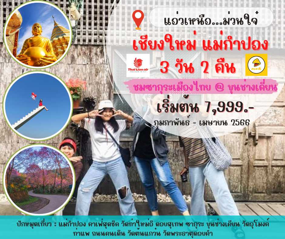 เชียงใหม่ แม่กำปอง 3 วัน 2 คืน ชมซากุระเมืองไทย @ ขุนช่างเคี่ยน