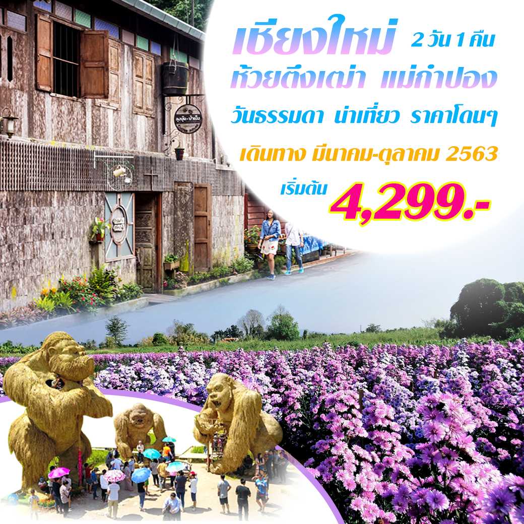 เชียงใหม่ ห้วยตึงเฒ่า แม่กำปอง 3 วัน 2 คืน--3.PHD-N3