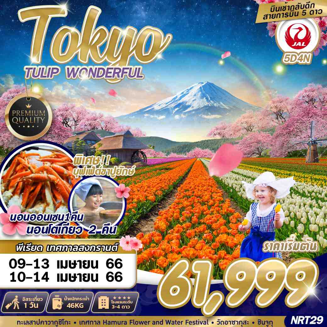 NRT29 : Tokyo Tulip Wonderful 5 วัน 4 คืน